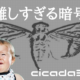 【解読方法 最強まとめ】インターネット史最大の謎解きレース「Cicada3301」の真相と暗号の詳細について